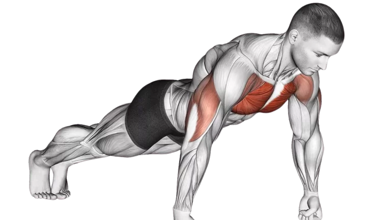 All Push Ups Exercises - Push Up