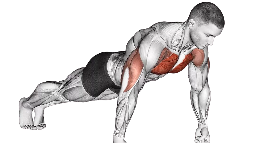 All Push Ups Exercises - Push Up