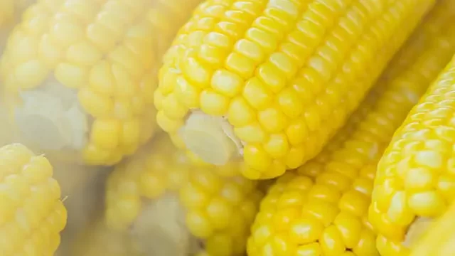 Corn