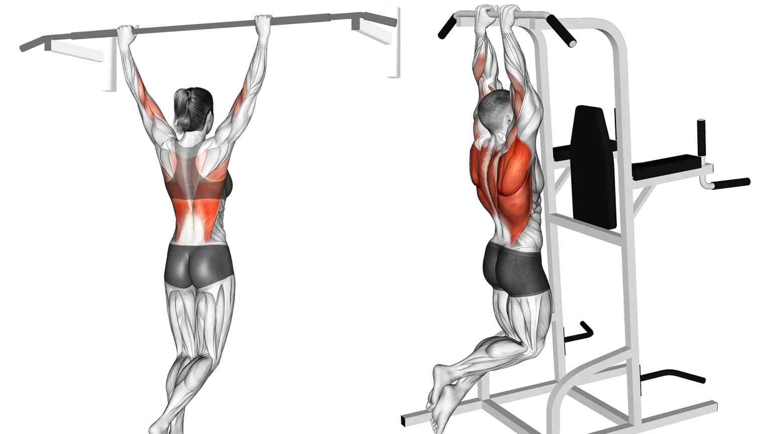 All Pull Up Workouts - Pull Up