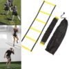 Speed Training Ladder